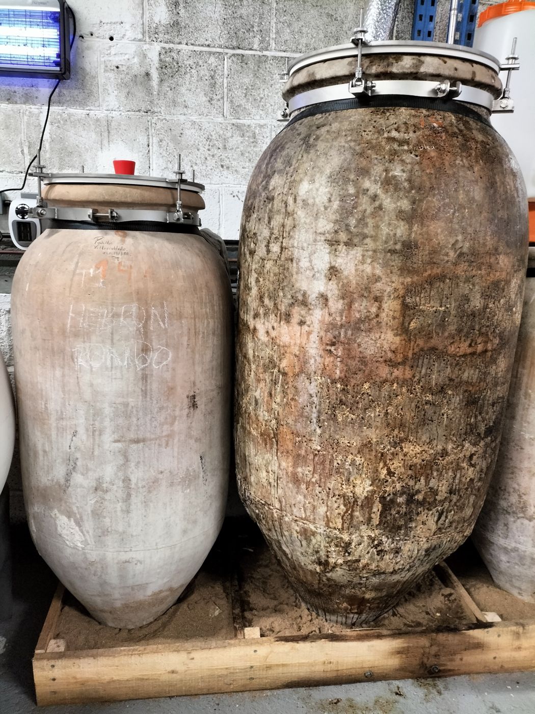Clay amphorae in the winery