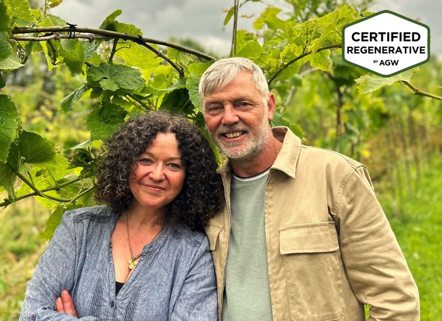 Two people standing together among the vines at Hebron Vineyard