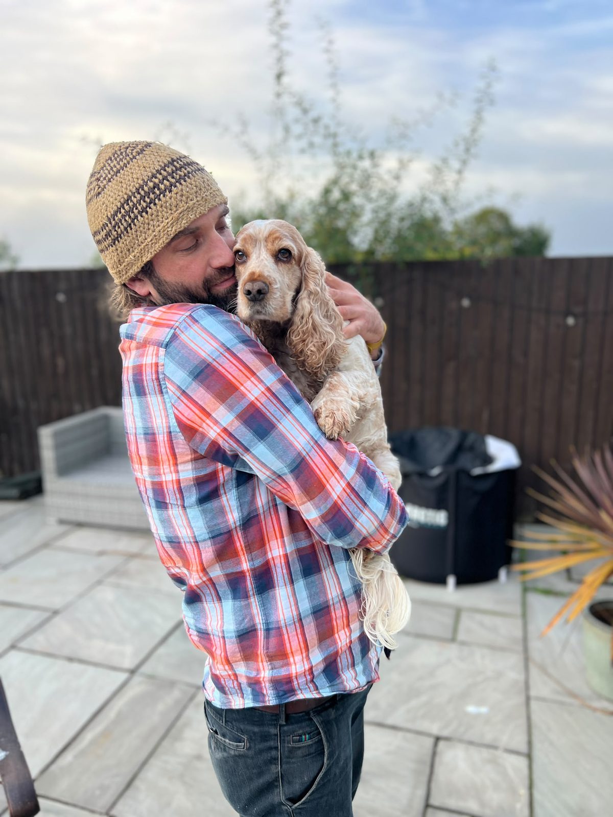 A cocker spaniel getting a cuddle