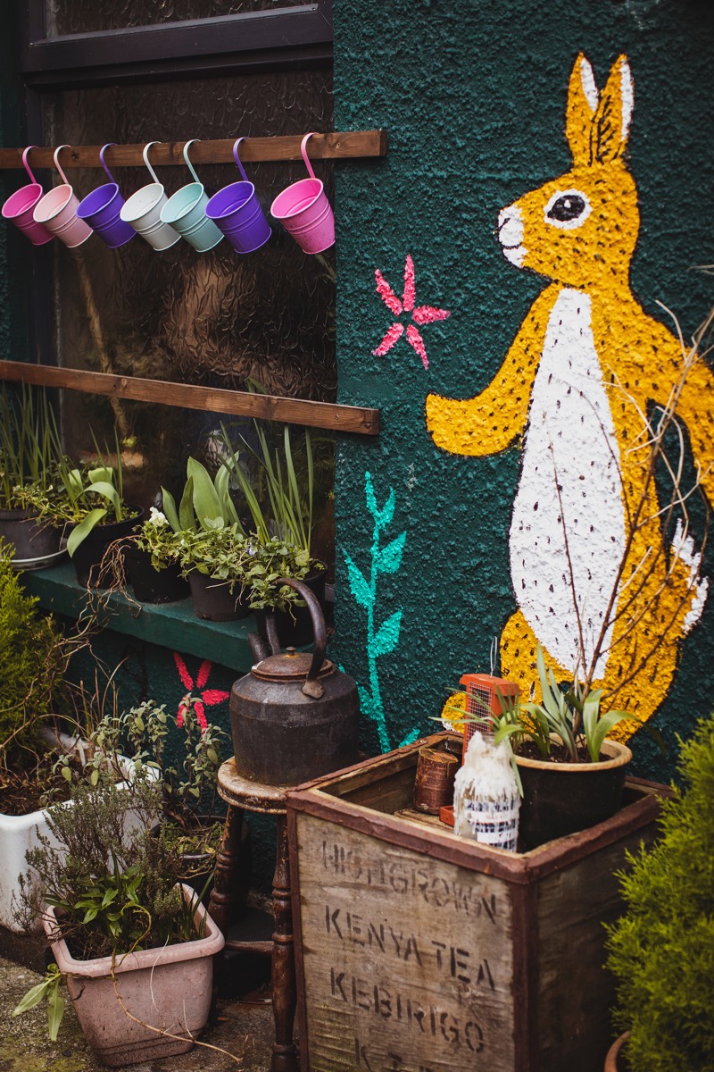 A hare painted on the wall outside The Warren, with potted plants below