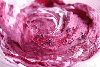 Blackcurrant Fool